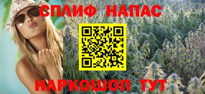 гидра Боровичи