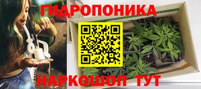 дурь Братск