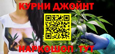 гидра Боровичи