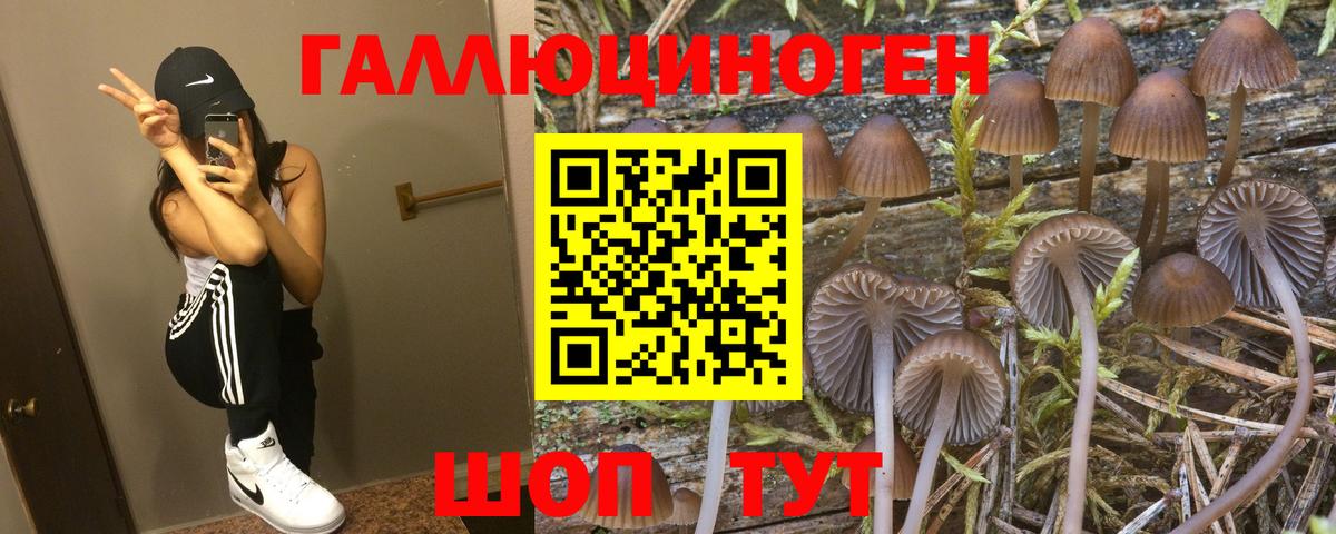 Избербаш  Псилоцибиновые грибы Magic Shrooms  Вход с VPN 