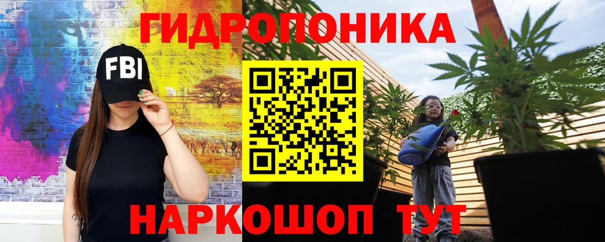 Бошки марихуана OG Kush  Марихуана гибрид  МАРИХУАНА MAZAR  Избербаш  Вход с VPN 